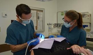 Best Financing Option for Dental Practice Acquisition - dental practice