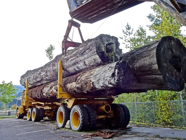 Forestry Equipment Financing Rates and How to Qualify - forestry equipment