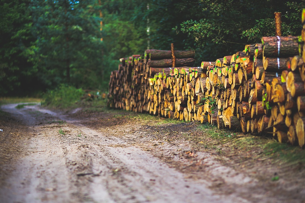 Forestry-Equipment-Financing