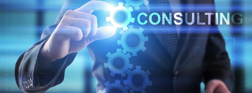 Consultation With A Financial Pro