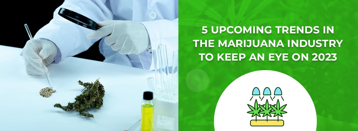 5 upcoming trends in the marijuana industry to keep an eye on 2023