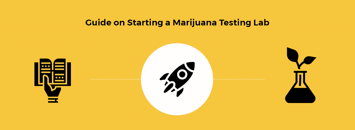 Guide On How to Start a Cannabis (Marijuana) Testing Lab