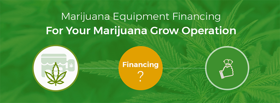 Marijuana-Equipment-Financing-For-Your-Marijuana-Grow-Operation