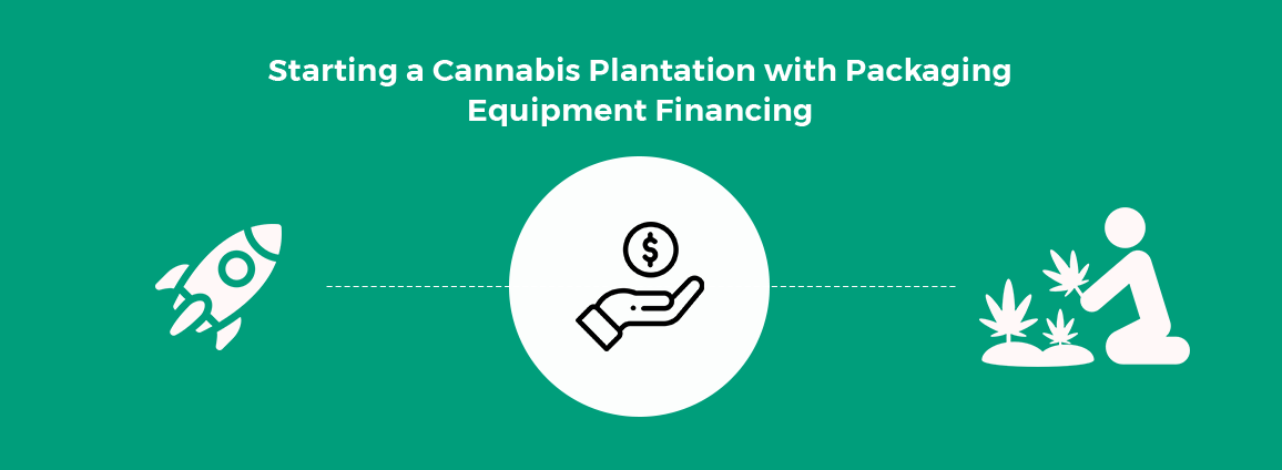 Starting a Cannabis Plantation with Packaging Equipment Financing