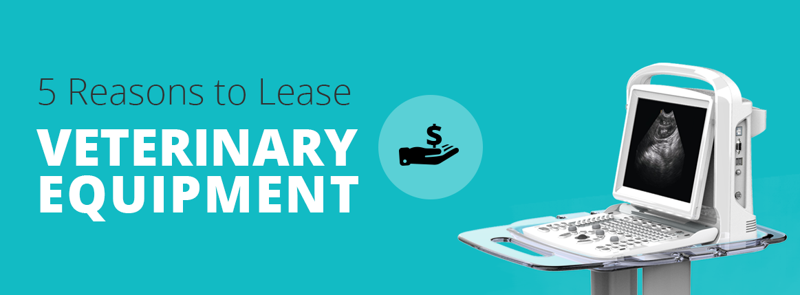 5 Reasons to Lease Veterinary Equipment