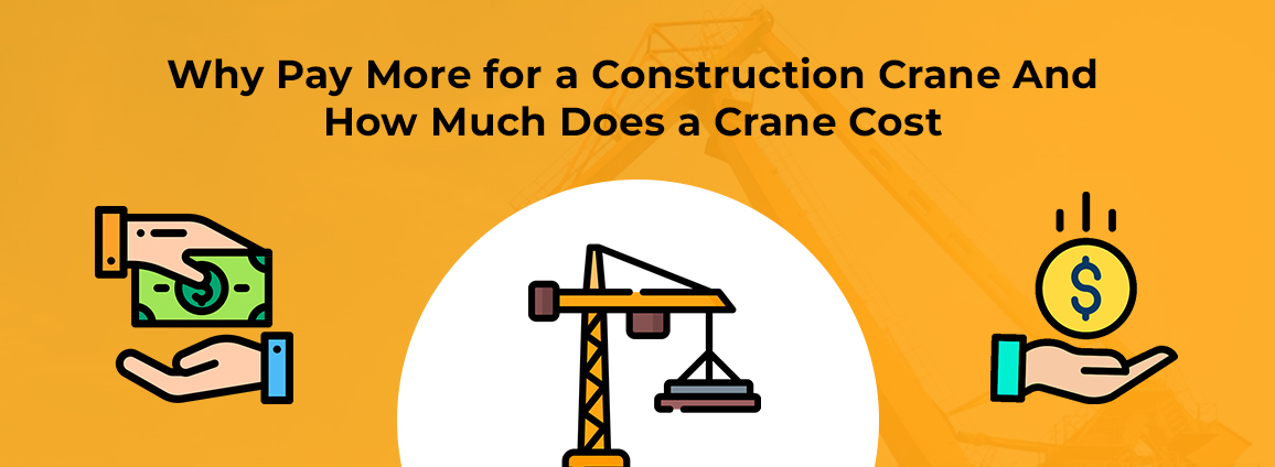 how much does a crane cost